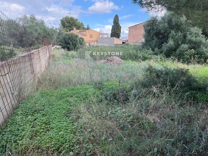 Plot — photo 6