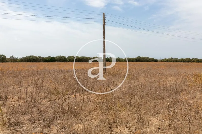 Land in Campos, Province of Balearic Islands — photo 5