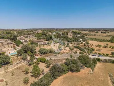 Urban plot of land - Santa Eugènia (Ses Alqueries), plot surface 2241m² — photo 11