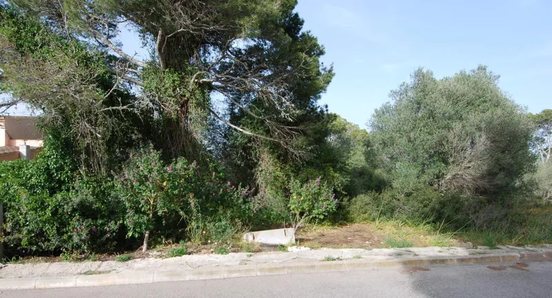 Reihenhaus mit Renovierungsprojekt in Es Llombards — photo 10
