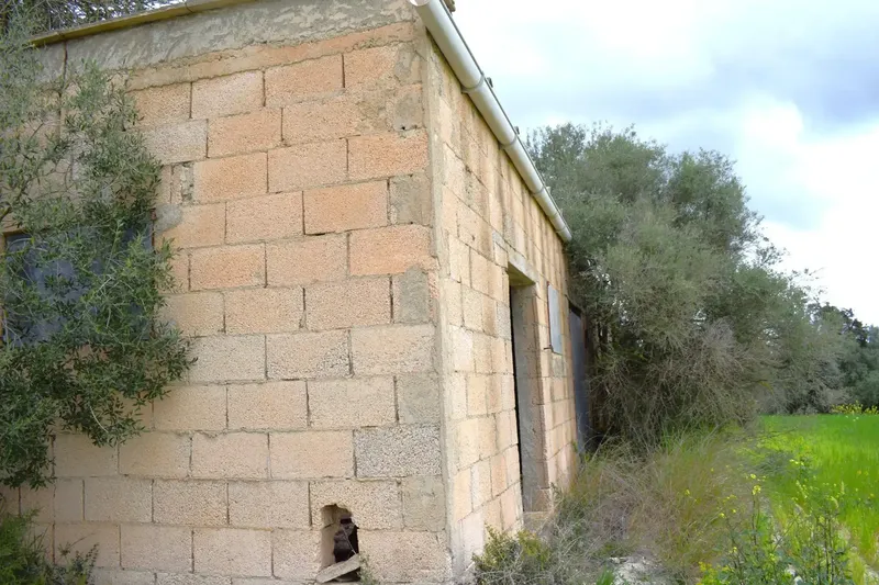 Set of 3 plots totaling 15,988 m2, perfect for building your dream home in Muro. — photo 12