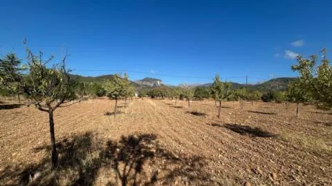 Terreno — photo 11
