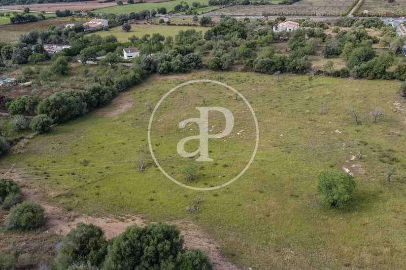 Land in Artà, Province of Balearic Islands — photo 12