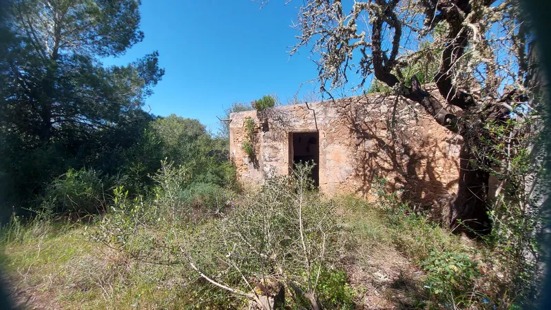 I-5037 Rustic Plot between Campos and Sa Ràpita: Nature and Privacy a Step from the Sea — photo 4