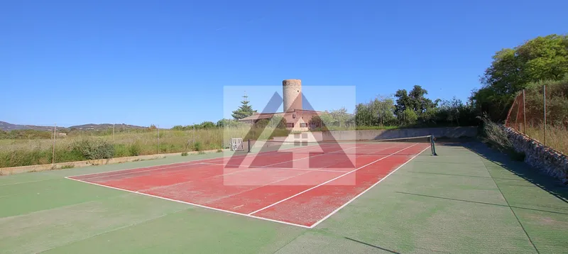Country house for rent in Felanitx — photo 2