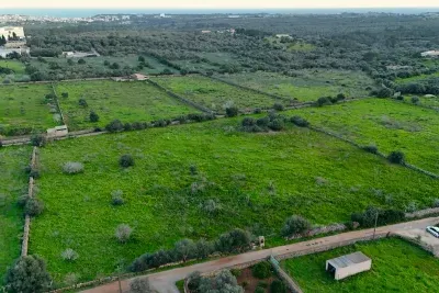 Land in Porto Cristo — photo 2