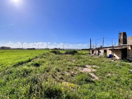 Rustic property - Sa Pobla (Pobla Sa), Built Surface 197m², Plot Surface 15727m², 1 Room — photo 7