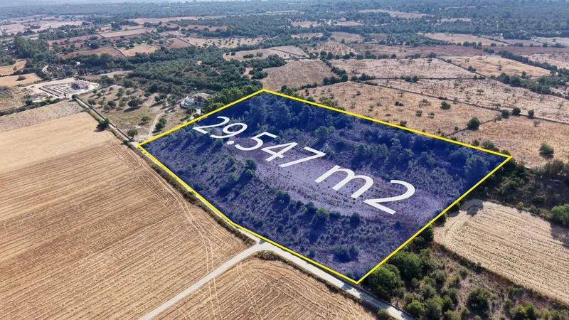 Buildable plot of 29,547 m² with open views in Petra — photo 1