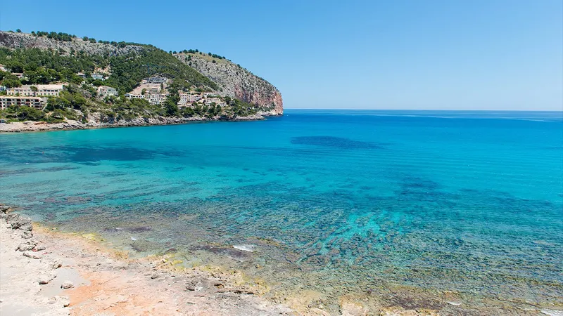 Exclusive Natural Stone Finca with Holiday Rental License in Canyamel – Mallorca — photo 6