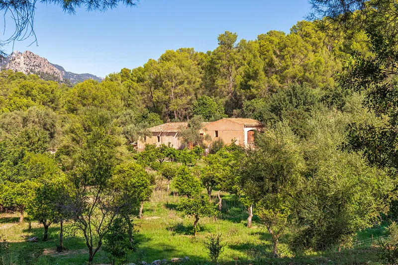 Plot in Bunyola - drone shot with view of the property — photo 5