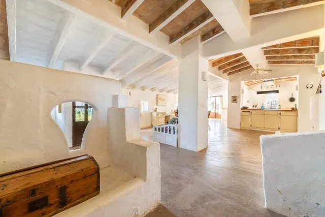 Authentic rustic estate for sale on a large plot in Ariany, Mallorca — photo 5