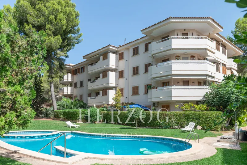Sunny 3-bedroom apartment with a pool and parking space in Paguera — photo 1
