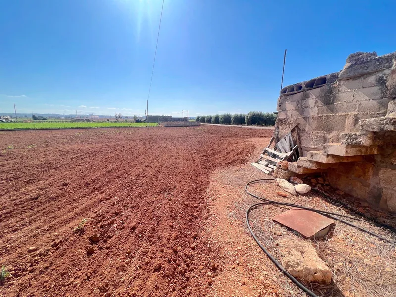 Plot of 14,318 m2 in Sa Pobla with water and electricity — photo 1