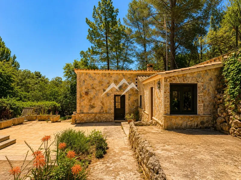 Charming finca just 2 minutes from Puigpunyent — photo 5