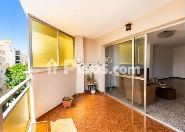 Apartment in El Fortí — photo 1