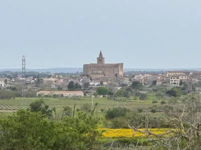 Rural Land - Porreres — photo 6