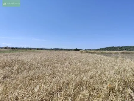 Rural Land - Maria de la Salut (Maria de la Salud), Built Surface 44m², Plot Surface 5000m² — photo 5