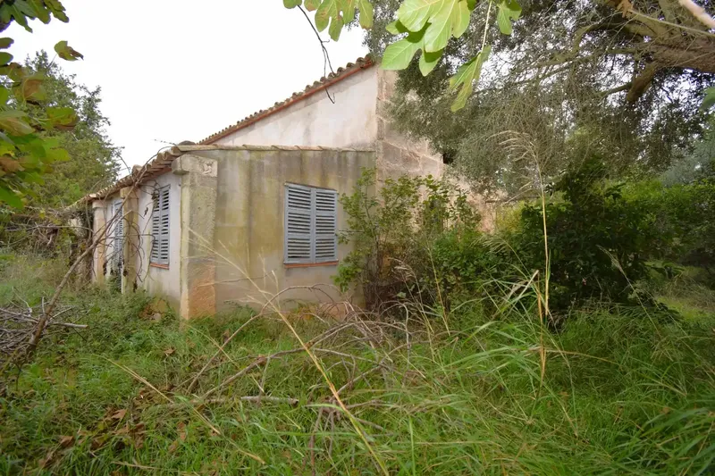 Rustic estate with a plot of 50,419 m² in Muro — photo 4