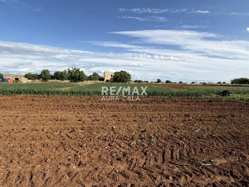 Plot for sale in Manacor — photo 1