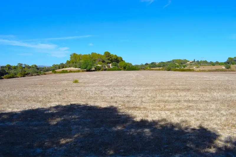 Finca rústica edificable de 32.462 m2, situada entre Llubí y Santa Margalida, en un entorno tranquilo y con hermosas vistas abiertas a la Se — photo 7