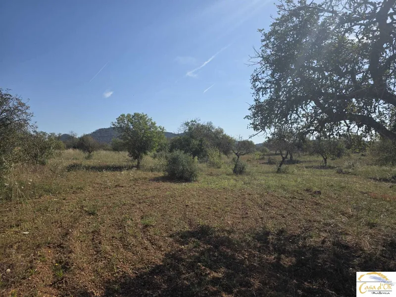 Exclusive Building Plot with Mediterranean Serenity near Sant Llorenç des Cardassar — photo 4