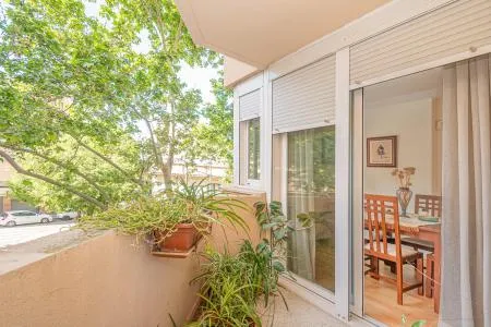 Flat - Palma de Mallorca (Arxiduc) — photo 5