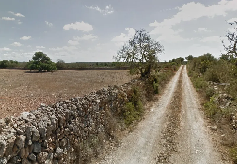 Rustic finca in Ses Salines, Mallorca — photo 1