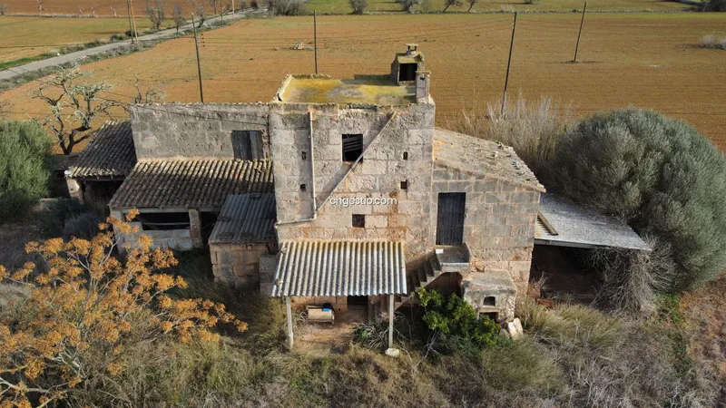 Rustic finca in Campos — photo 6