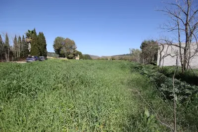 Rustic land in Petra 4900 sqm ideal for planting — photo 1