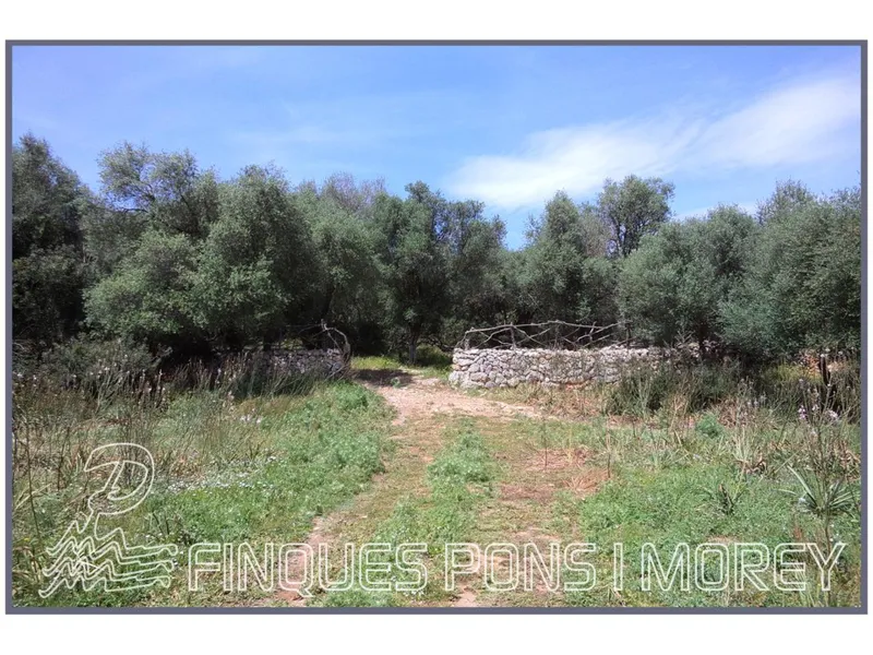 Country houses - Ref. [redacted] — photo 3