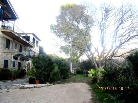 Wonderful Mallorcan estate finca near Alcudia with views, to renovate — photo 4