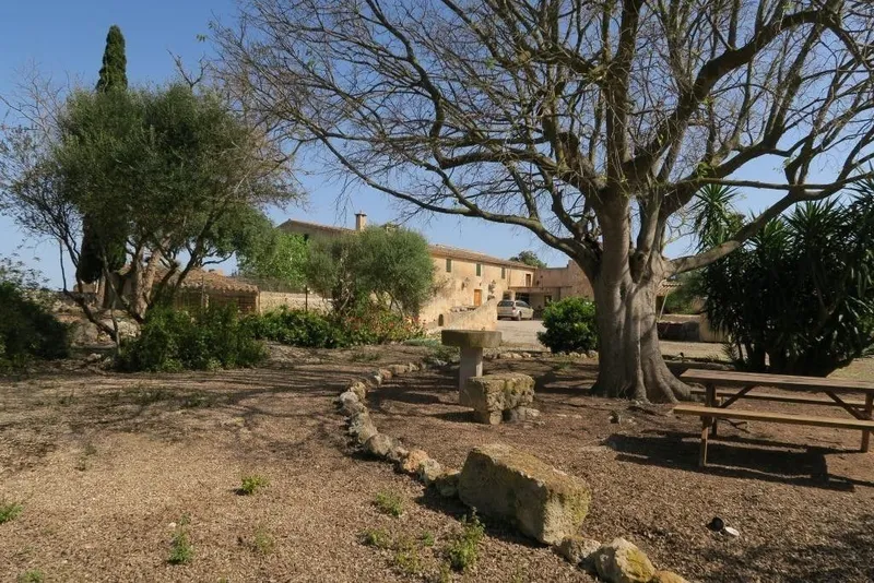 Luxury home in Ariany, Province of Balearic Islands — photo 1