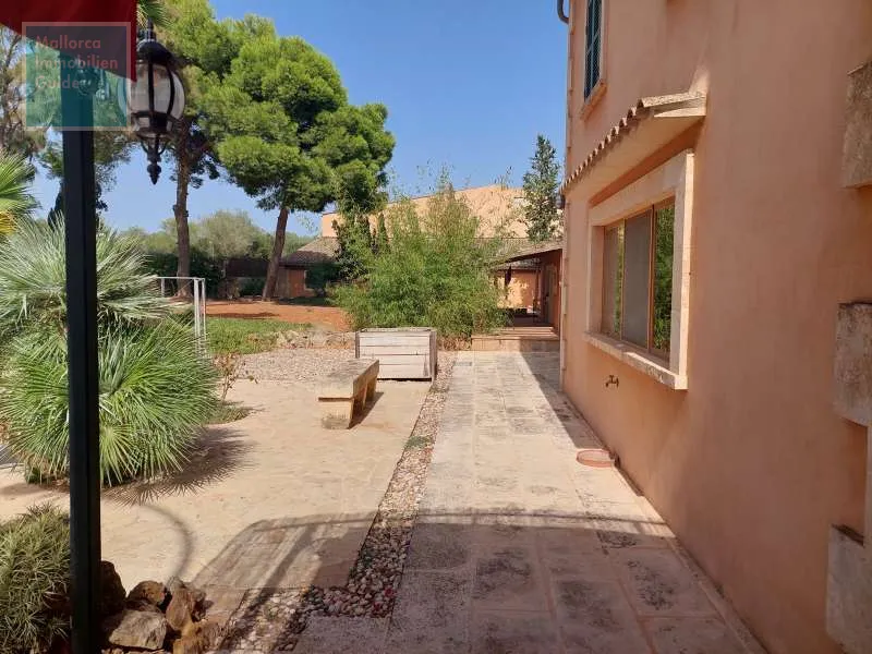 Campos, large finca with warehouses near Es Trenc beach — photo 4