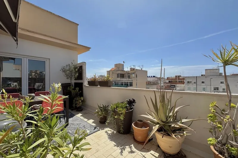 Bright apartment with terrace in Palma — photo 2