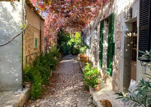 Semi-detached house in Soller — photo 1