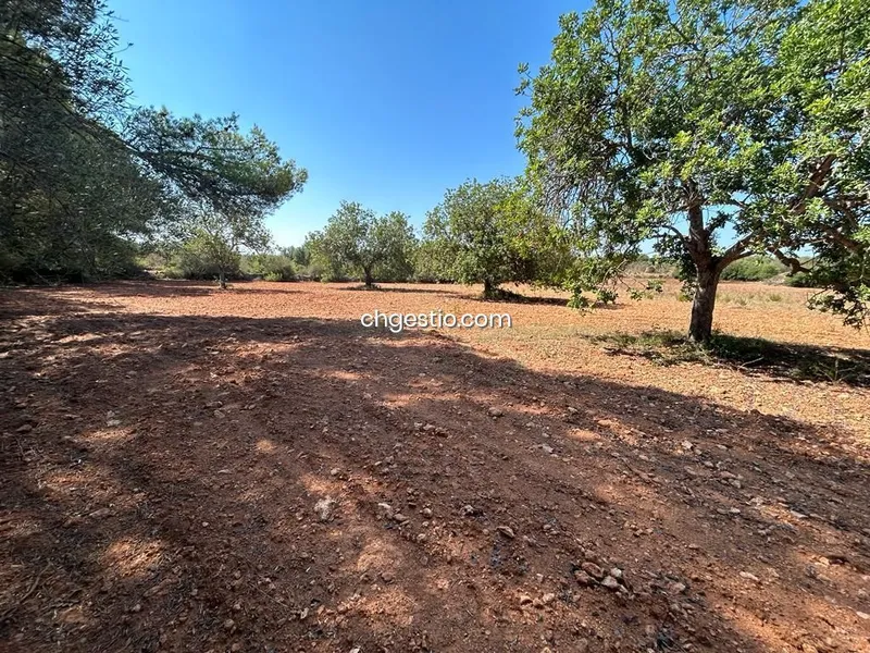 Plot in Campos — photo 6