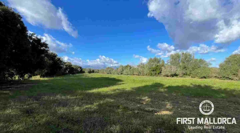 Real estate picture 0 Ref. No. 73251 — photo 2