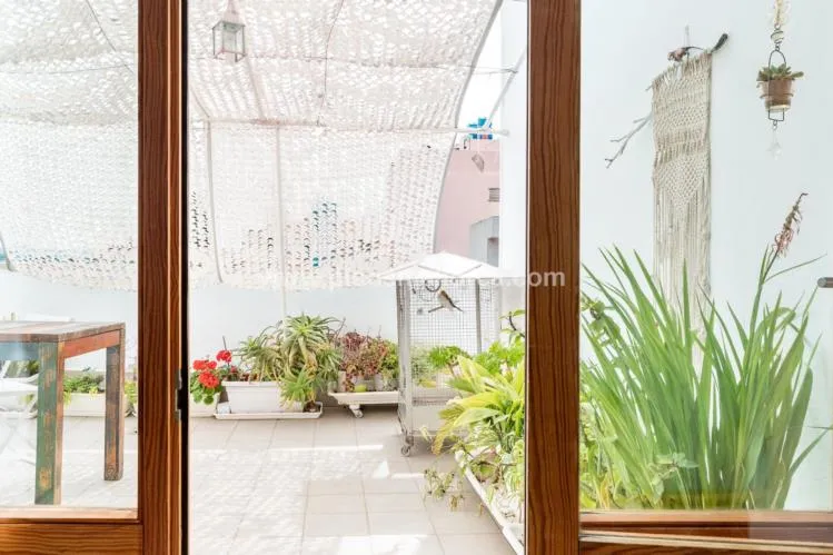 Penthouse. Palma de Mallorca — photo 7