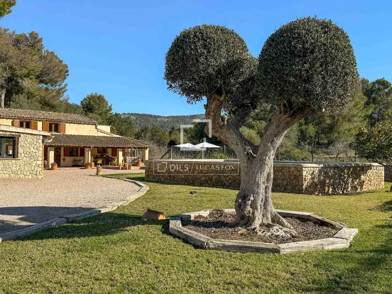 312m² country house for sale in Calvià, Balearic Islands — photo 2