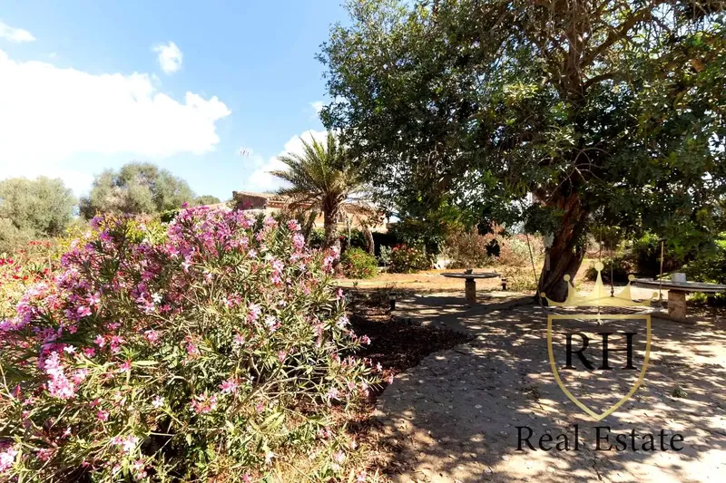 Santanyí is a Spanish town and municipality located in the southeastern part of Mallorca, Balearic Islands. — photo 3