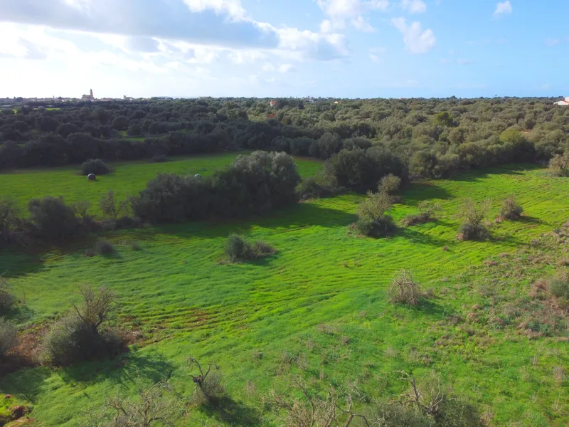 Buildable plot in Ses Salines, Mallorca — photo 8