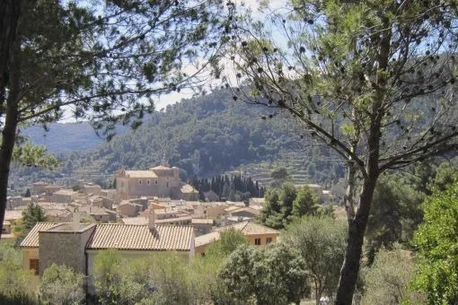 Building plot in Valldemossa — photo 1