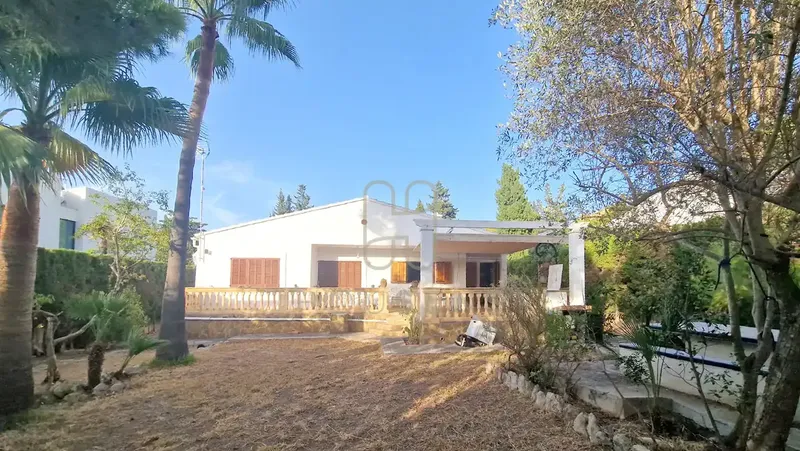 Discover your refuge in Bonaire! Charming detached chalet — photo 2
