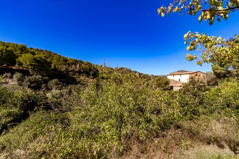 Traditional Mallorca Finca in the outskirts of Sóller — photo 9