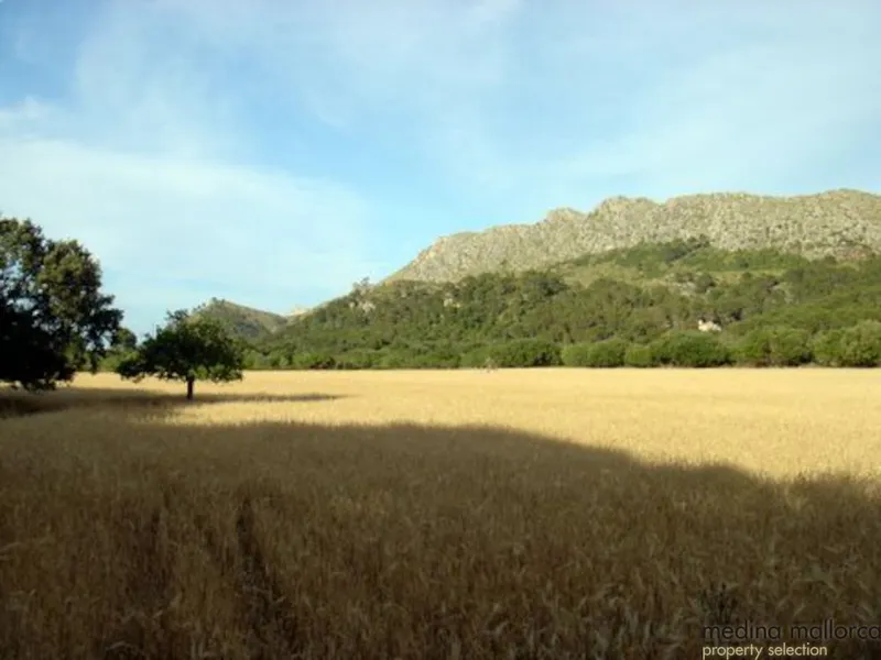 Reformed old finca in the Pollensa area — photo 8