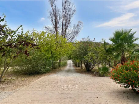 Charming finca near Sineu with panoramic views, guest apartment and 50 m² pool — photo 7