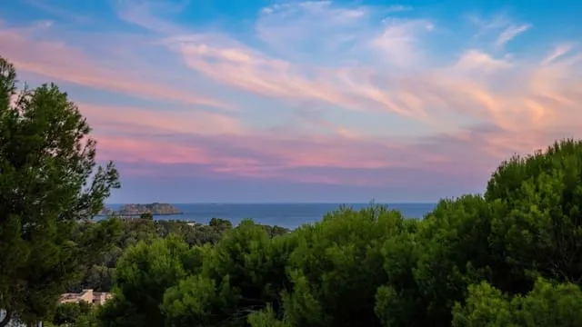 Villa for rent in Peguera / Paguera, Calvià, Mallorca — photo 1