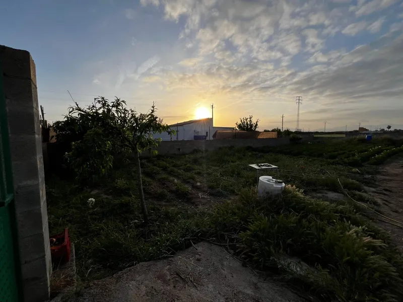 Rural Land - Palma de Mallorca (Son Ferriol) — photo 1