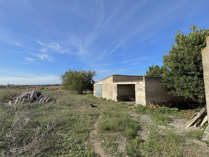 House / Chalet in Manacor — photo 9