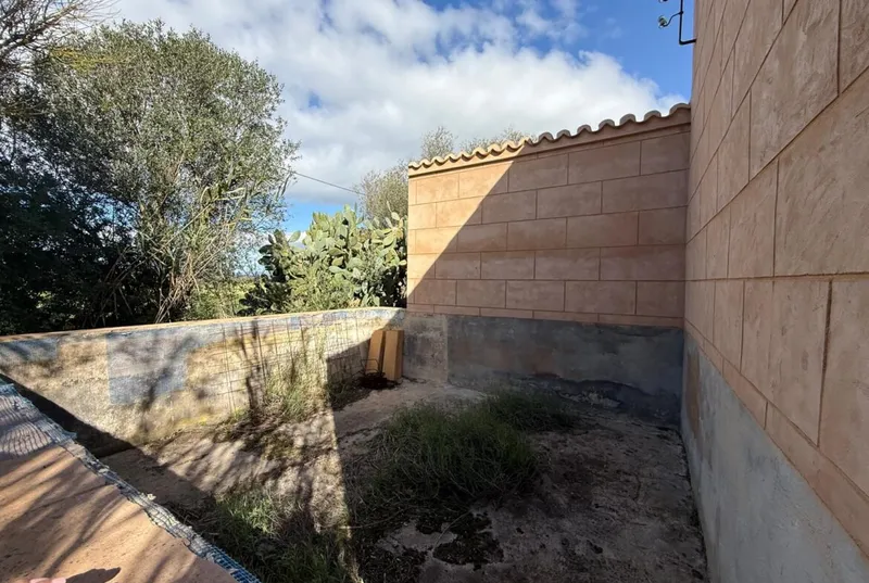 Rustic finca with cottage in Ses Salines — photo 7